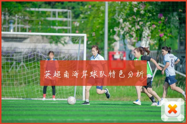 英超南海岸球队特色分析