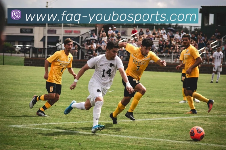 友博体育APP 体育赛事宣传图